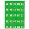 Double Number Top Tab - Sheet - Image 3