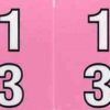 Double Number 24mm Side Tab Labels (00-13) - Sheet - Image 16